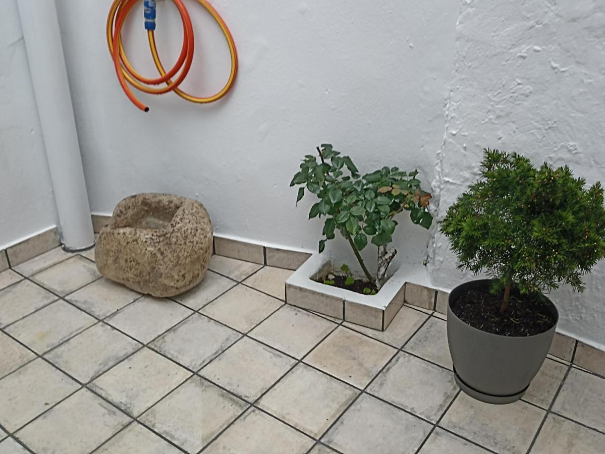El Hechizo Del Bailon Guest House Zuheros Ngoại thất bức ảnh